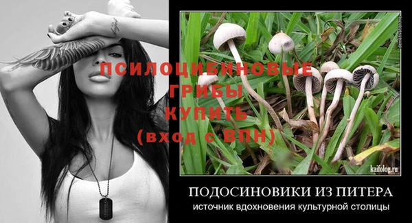 МДПВ Володарск